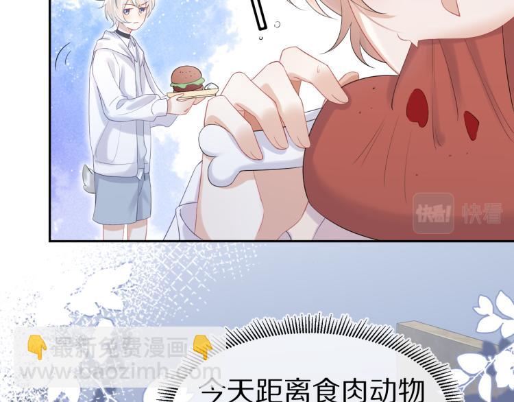 第4话 又被狮子救了？！(1/3)-第5话