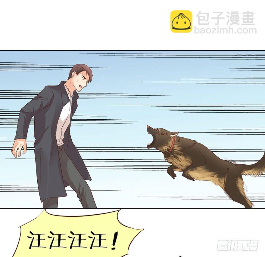勇者斗恶龙-第135话