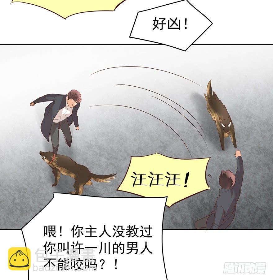 勇者斗恶龙-第135话