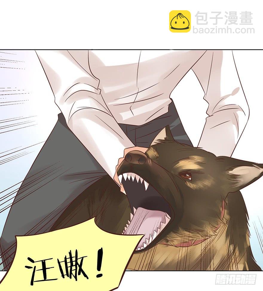 勇者斗恶龙-第135话