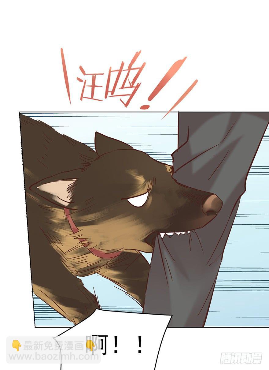 勇者斗恶龙-第135话
