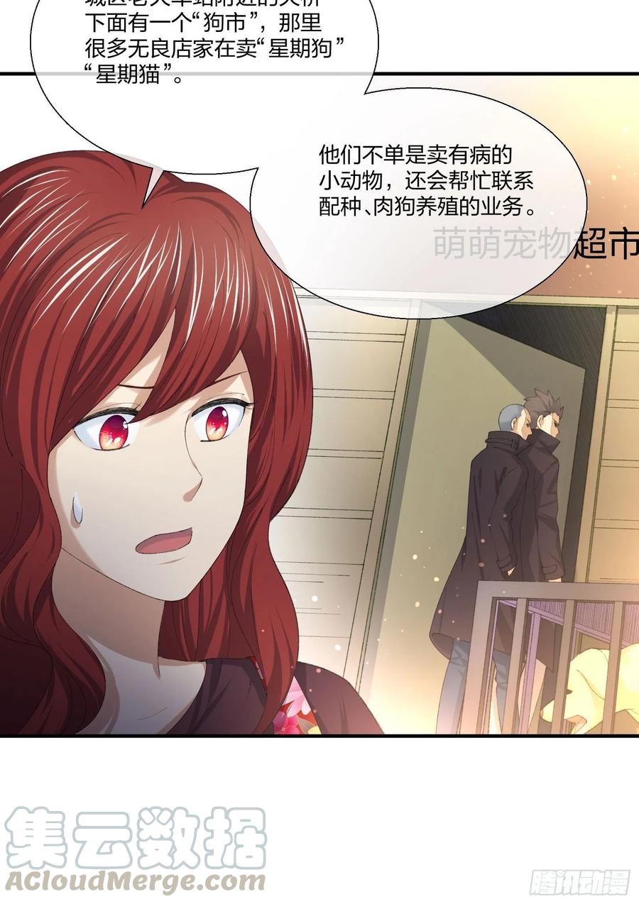 偷狗贼-第135话