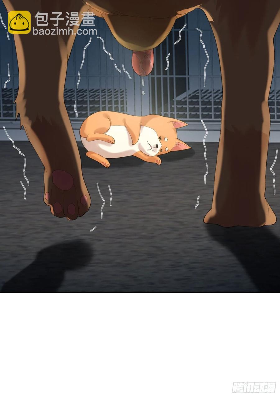 黑猫小分队-第137话