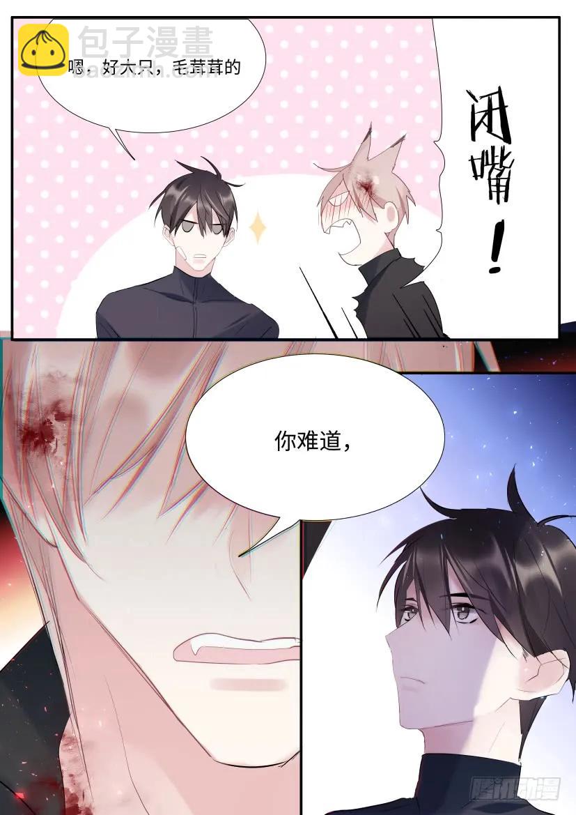 番外-兽人世界3-第95话