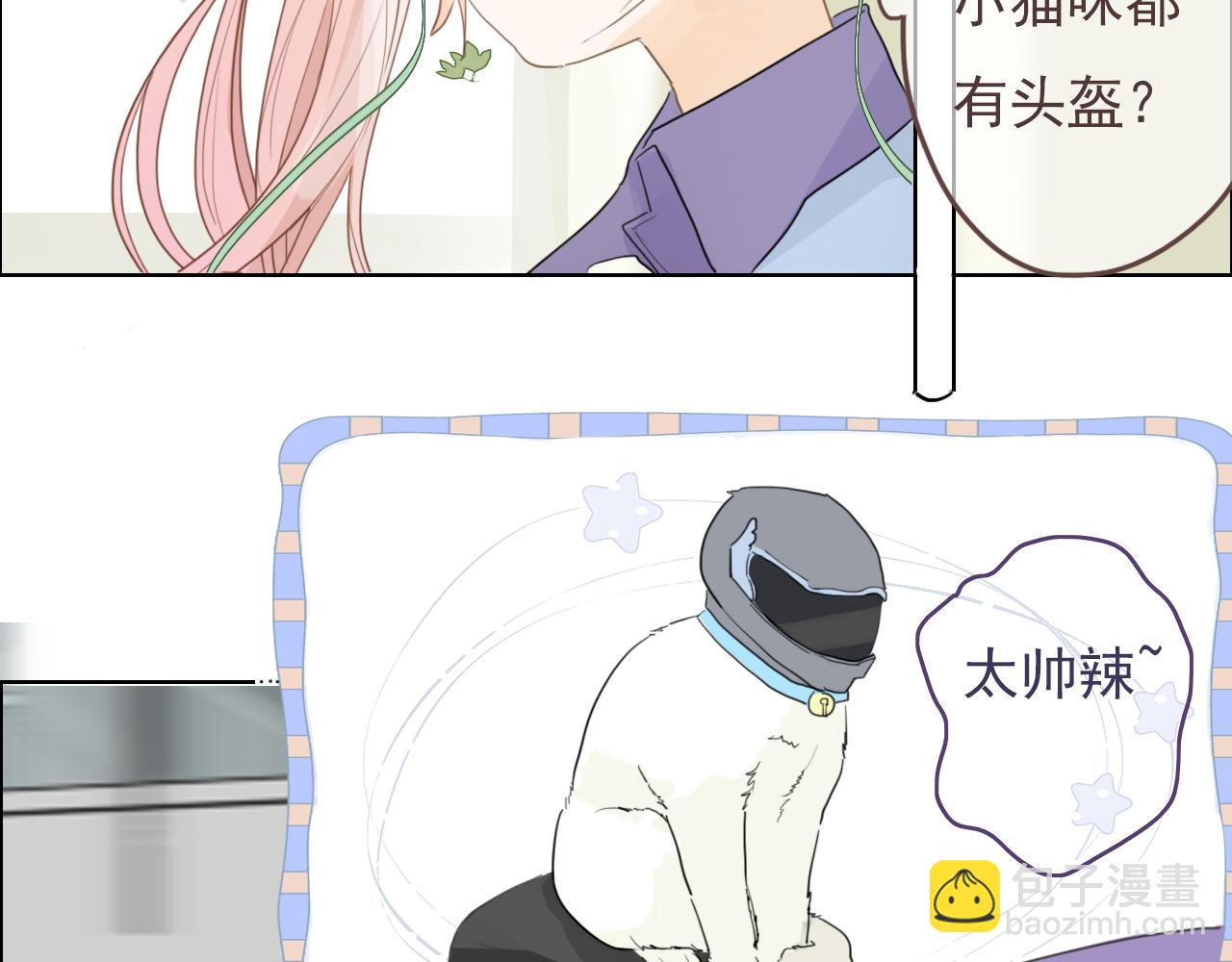 第八话 地下吸猫现场(1/2)-第11话