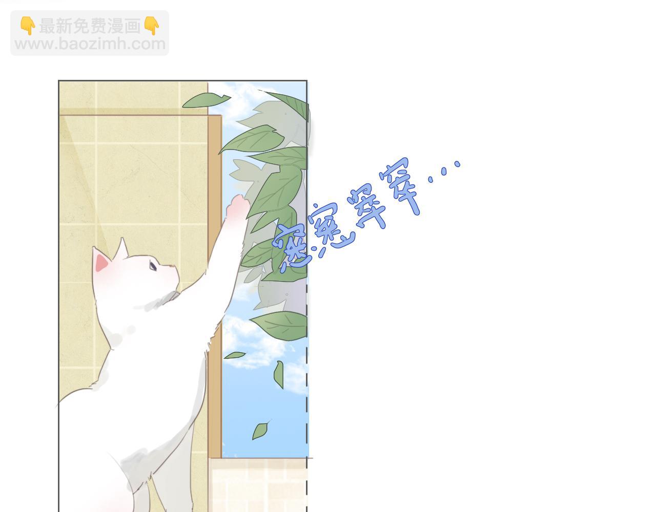 第二话  猫出没(1/2)-第3话