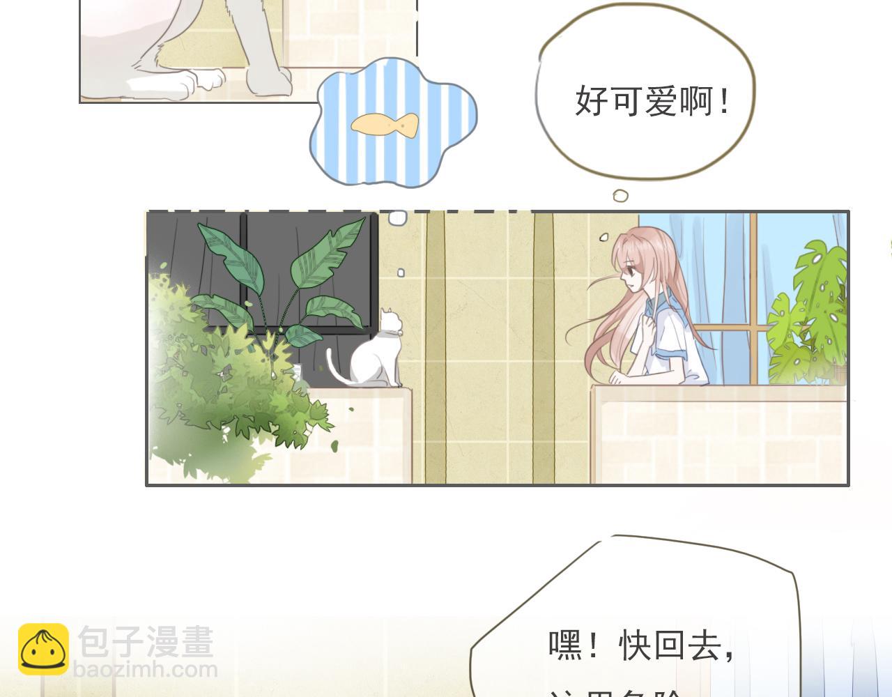 第二话  猫出没(1/2)-第3话
