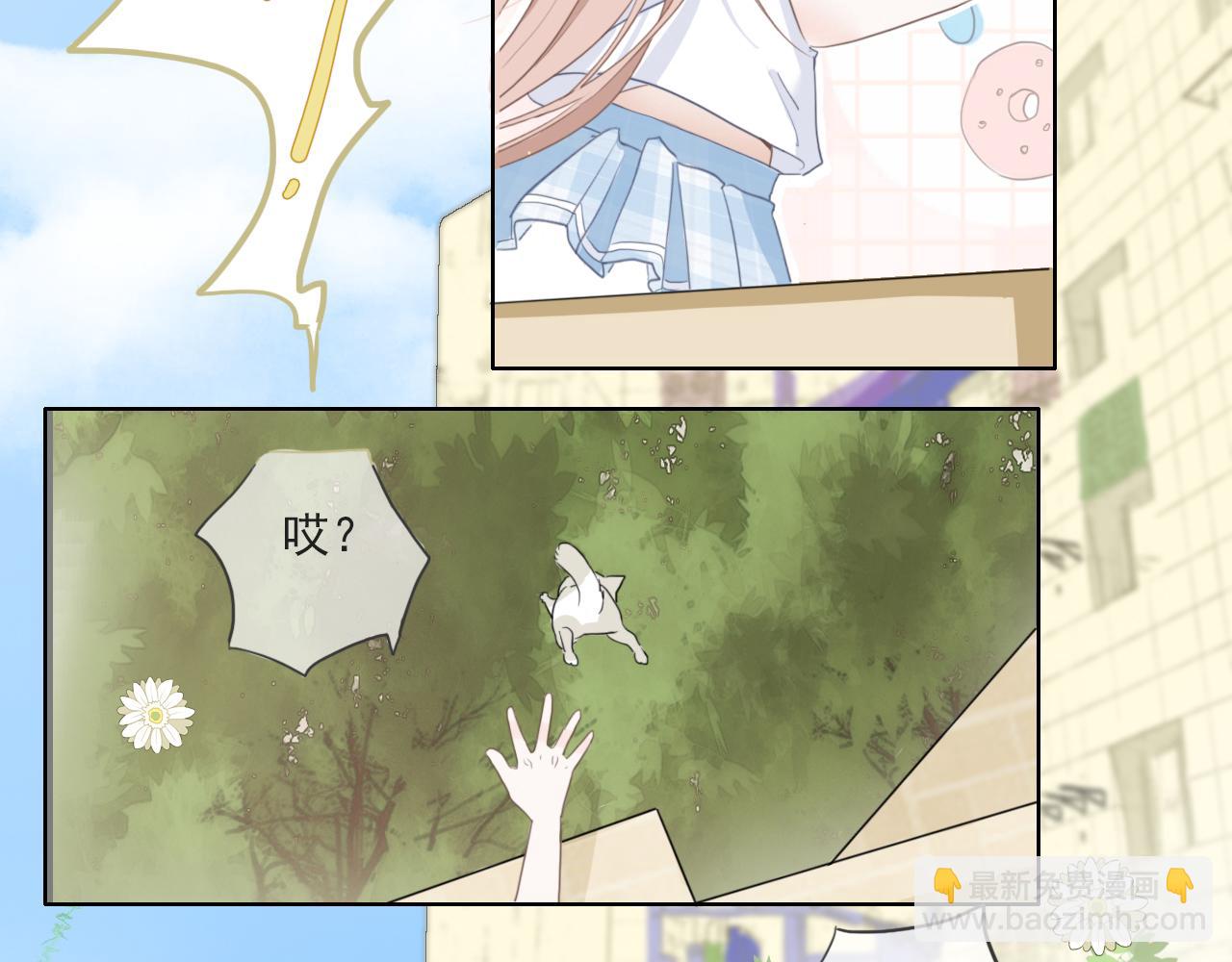 第二话  猫出没(1/2)-第3话