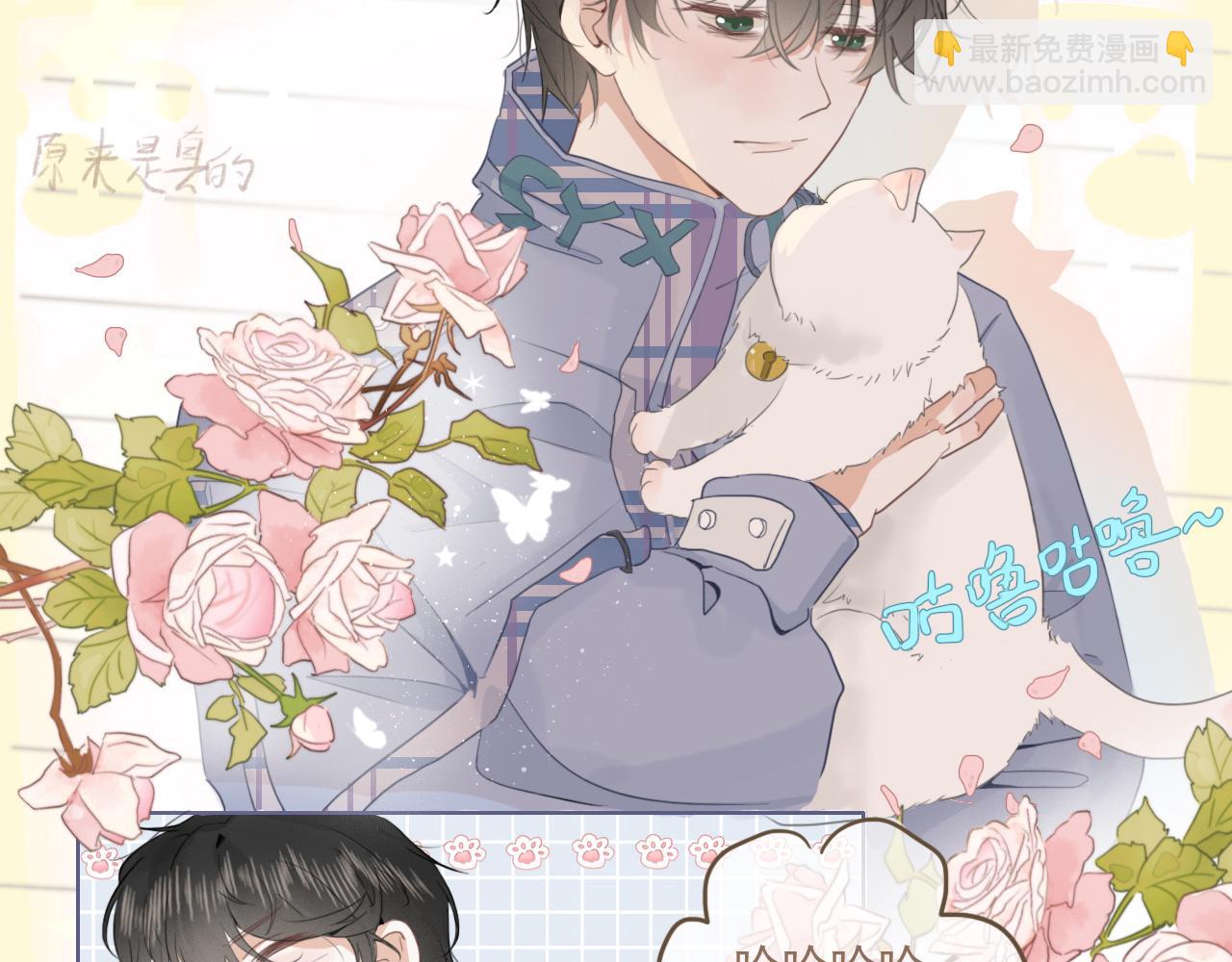 第二话  猫出没(1/2)-第3话