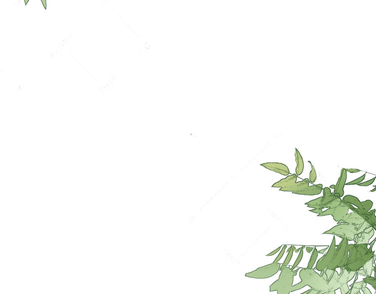 第六话 森林海底(1/2)-第9话