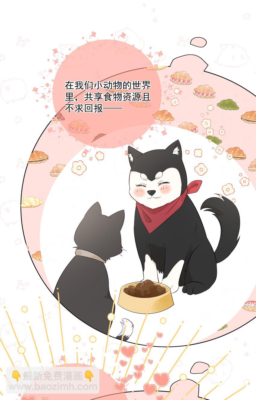 011 交到新朋友-第13话