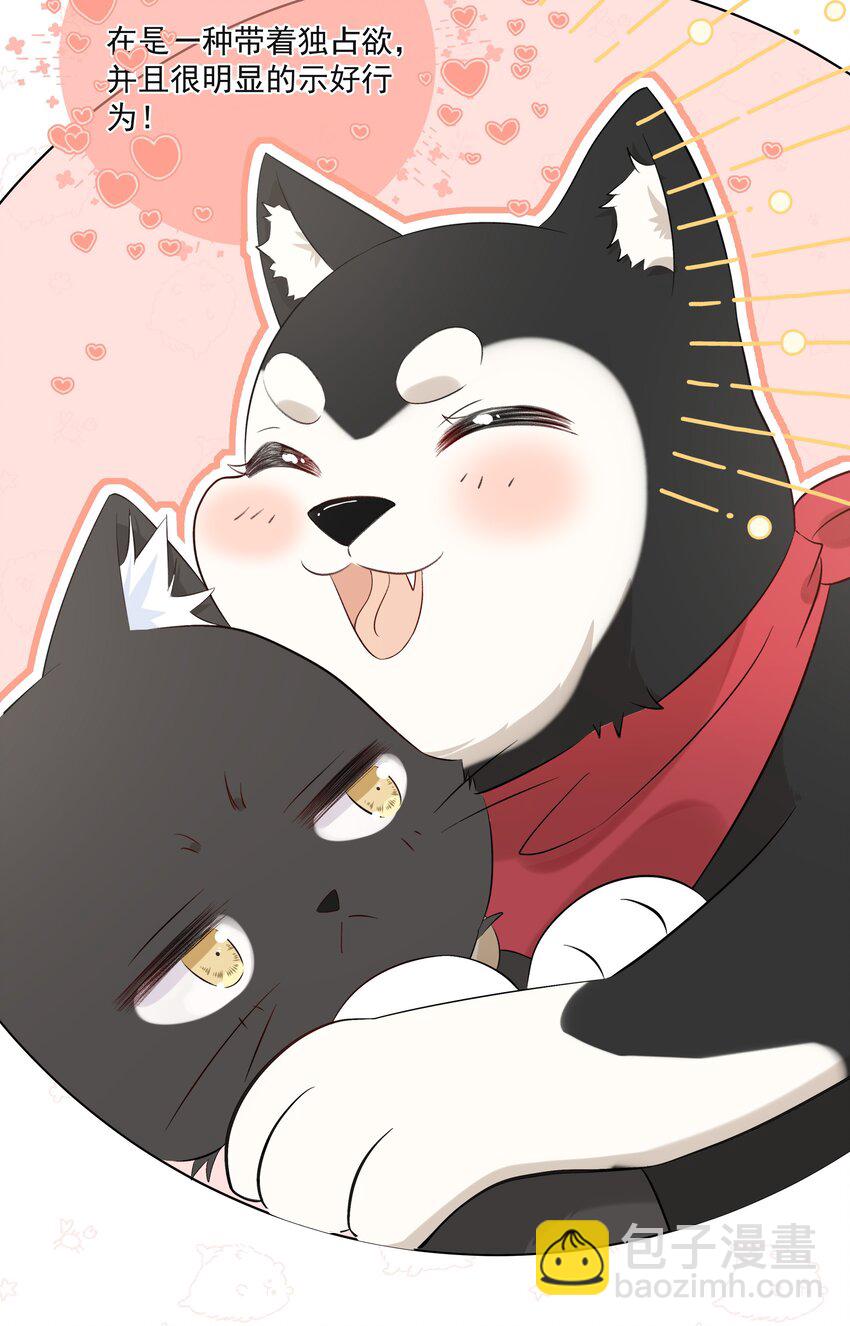 011 交到新朋友-第13话