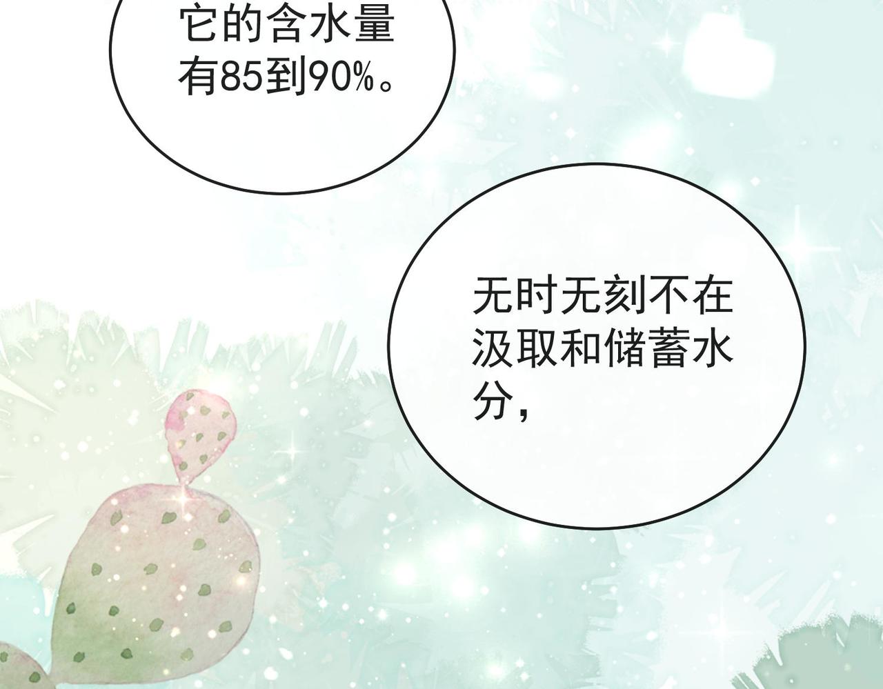 第3季 第4话 仙人掌与洋桔梗(1/3)-第55话