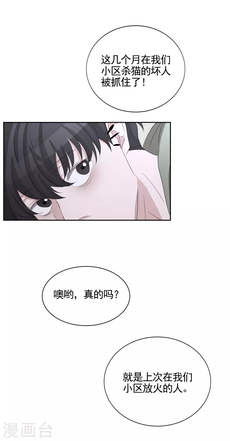第31话 三角关系？过激杀人？-第31话