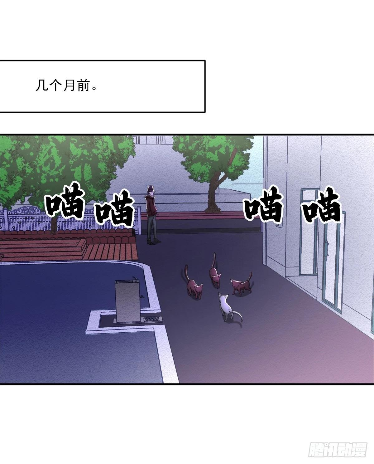 第13话  相片(1/2)-第13话