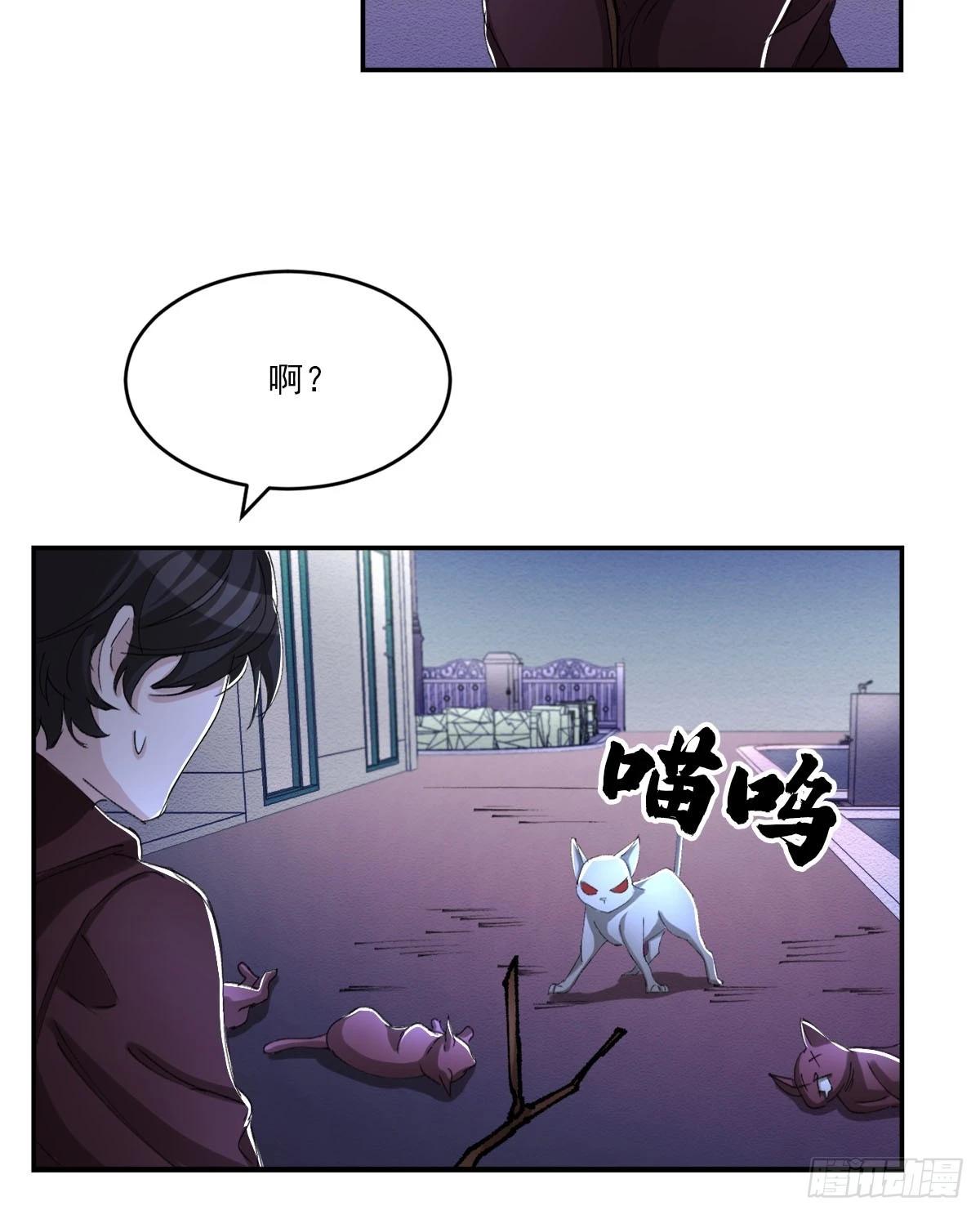 第13话  相片(1/2)-第13话
