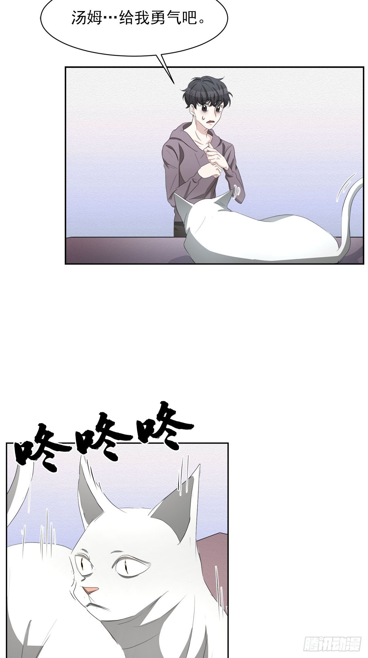 第37话  真相(1/2)-第37话