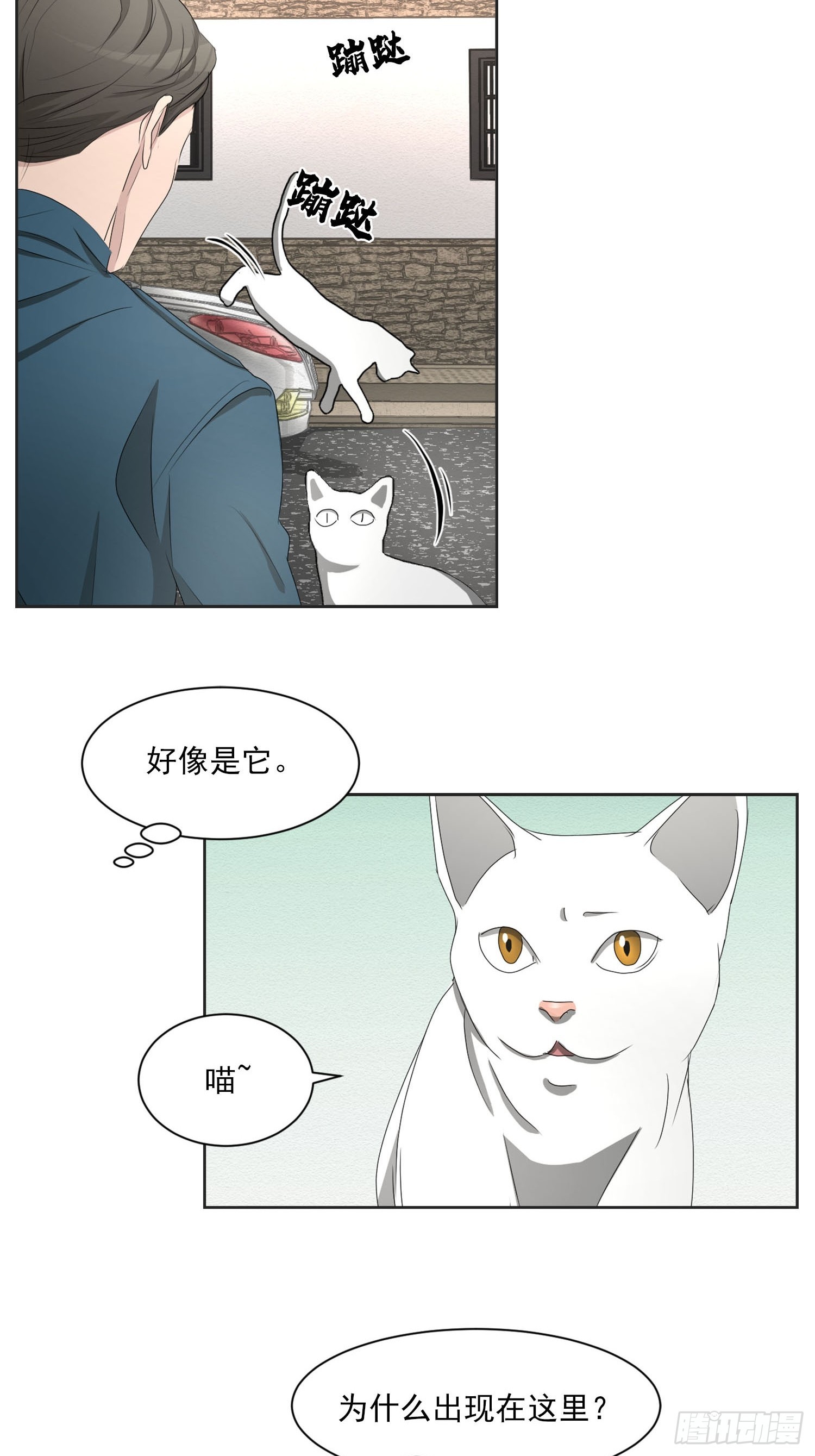 第41话  原谅-第41话