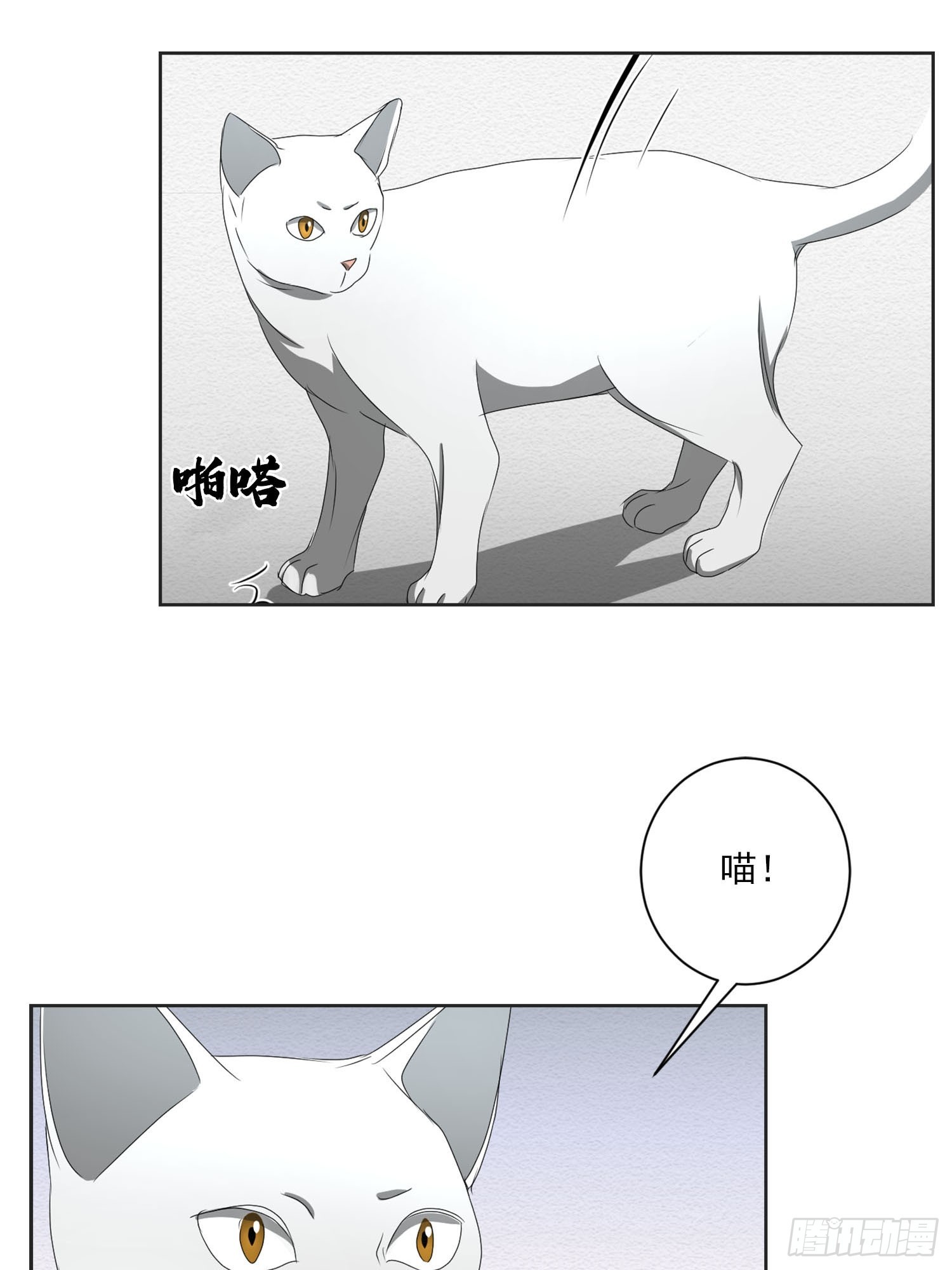 第41话  原谅-第41话