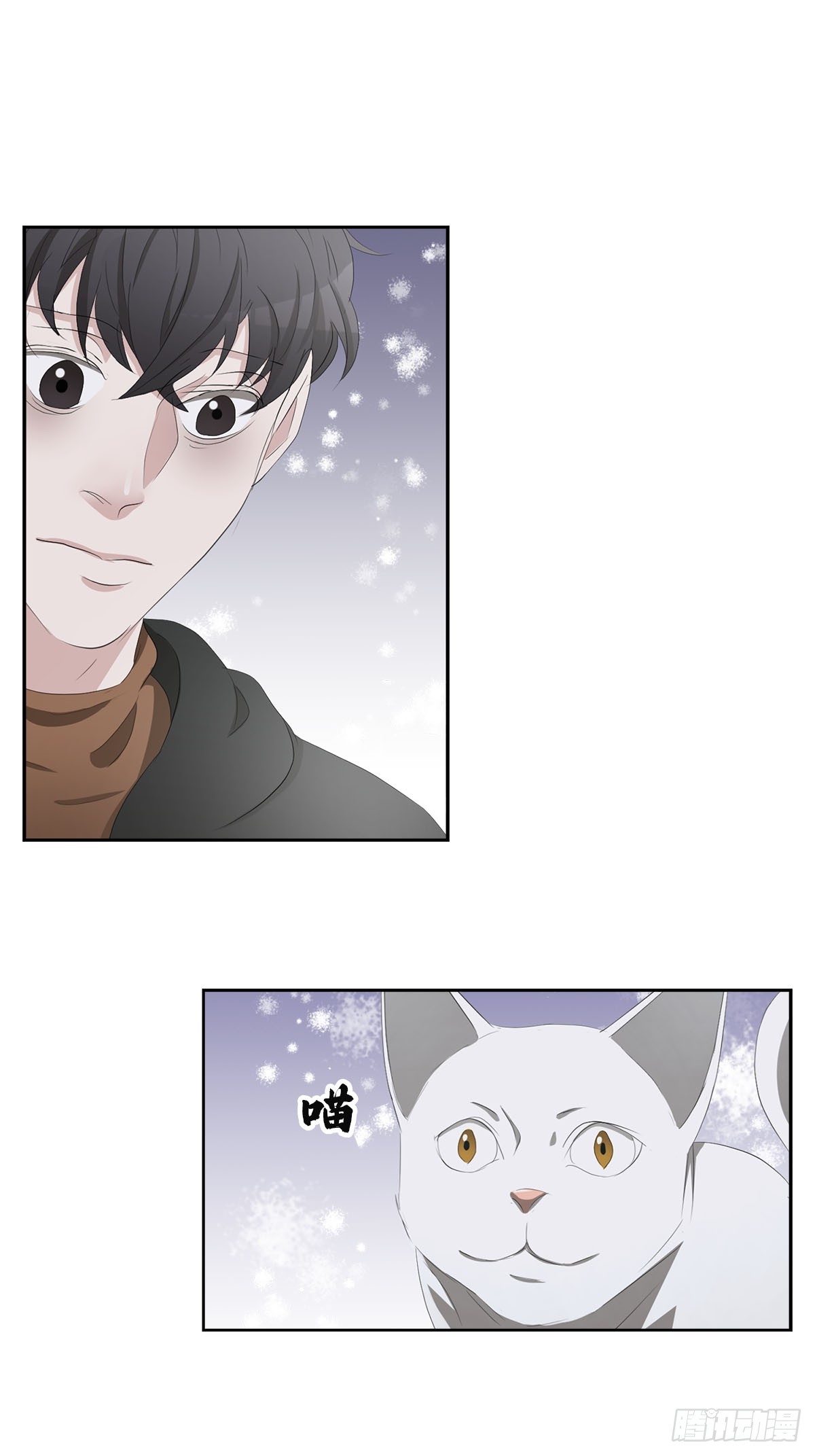 第47话  朴刑警-第47话