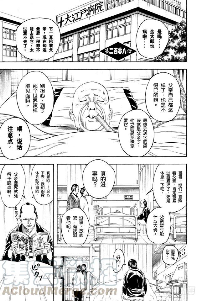 🍜银魂 第208话 爱猫与爱狗之人是水火不相容的 第1页