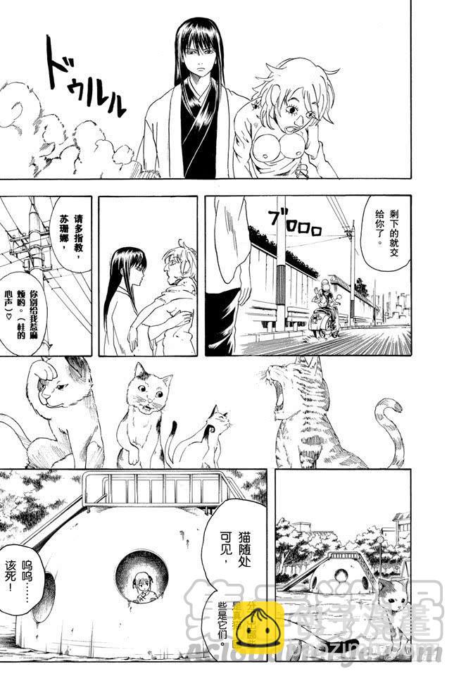 🍜银魂 第208话 爱猫与爱狗之人是水火不相容的 第11页