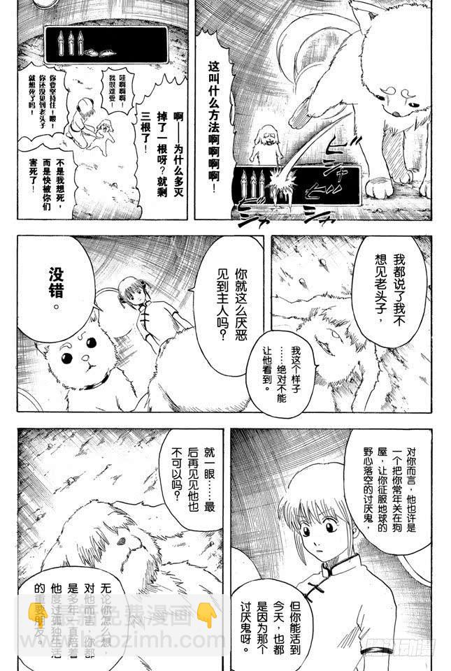 🍜银魂 第208话 爱猫与爱狗之人是水火不相容的 第13页