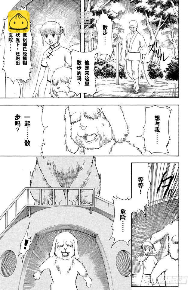 🍜银魂 第208话 爱猫与爱狗之人是水火不相容的 第19页
