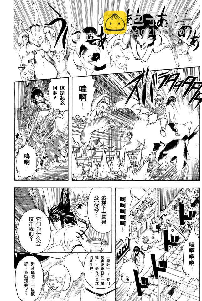 🍜银魂 第208话 爱猫与爱狗之人是水火不相容的 第4页