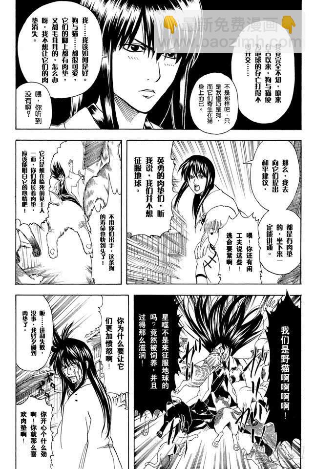 🍜银魂 第208话 爱猫与爱狗之人是水火不相容的 第5页