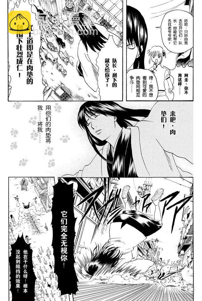 🍜银魂 第208话 爱猫与爱狗之人是水火不相容的 第6页