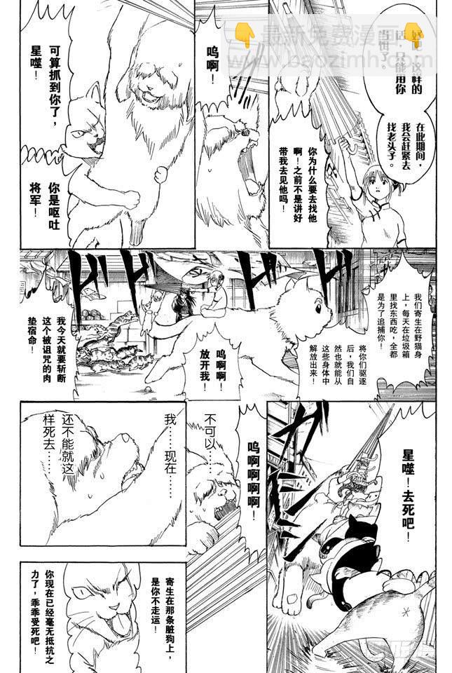 🍜银魂 第208话 爱猫与爱狗之人是水火不相容的 第7页