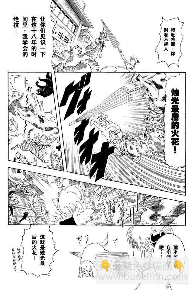 🍜银魂 第208话 爱猫与爱狗之人是水火不相容的 第8页