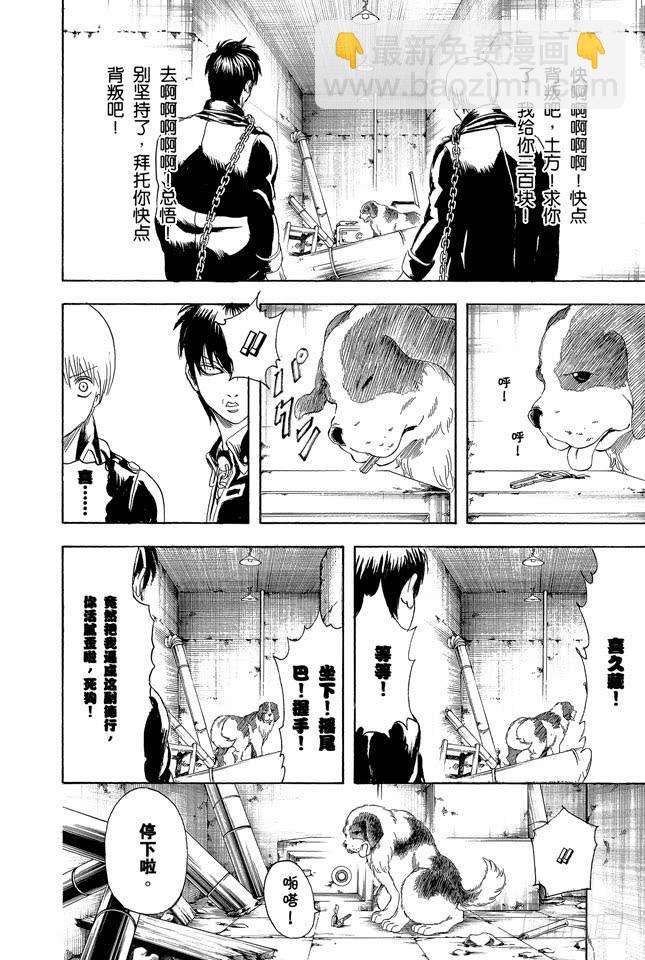 🍜银魂 第234话 坏人反倒睡得香 第16页