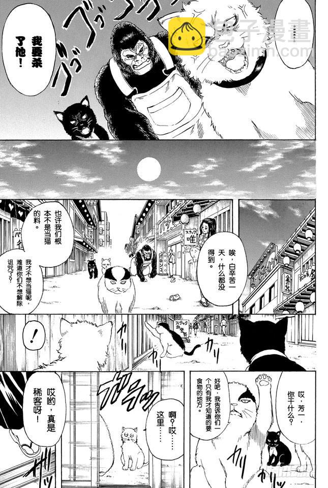 🍜银魂 第276话 不用喊“志村，你后面”，因为他已经注意到了呢！ 第17页