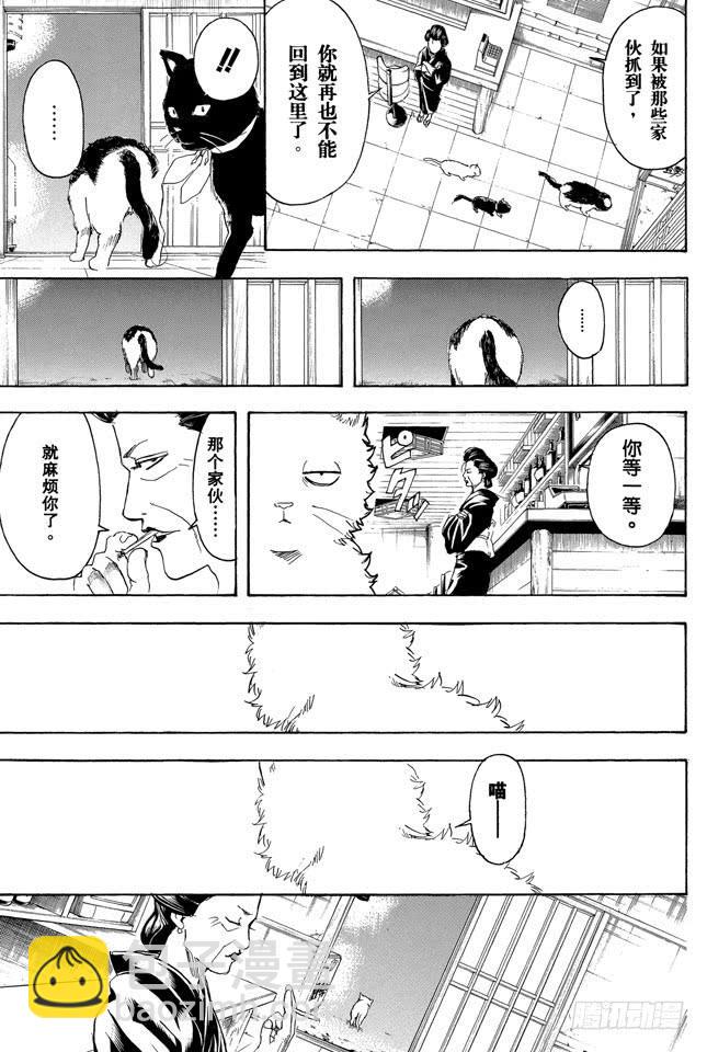 🍜银魂 第276话 不用喊“志村，你后面”，因为他已经注意到了呢！ 第19页