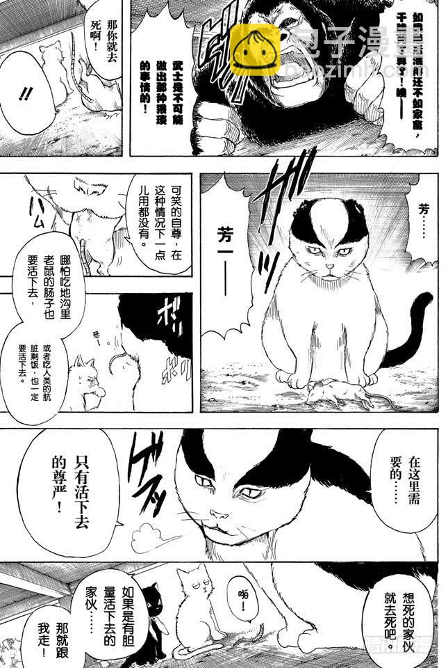 🍜银魂 第276话 不用喊“志村，你后面”，因为他已经注意到了呢！ 第3页