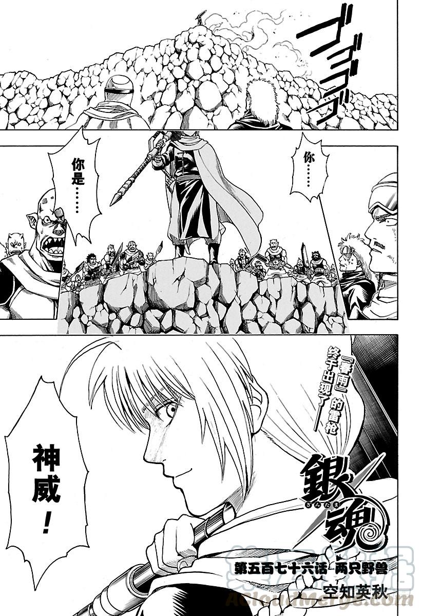 🍜银魂 第576话 两只野兽 第1页