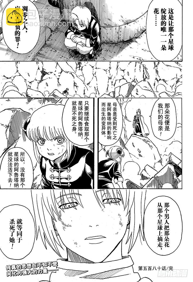 🍜银魂 第580话 凋零的花 第19页