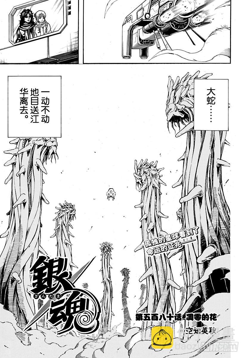 🍜银魂 第580话 凋零的花 第5页