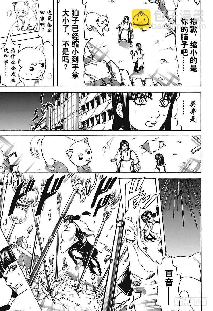 🍜银魂 第654话 宠物还是小型的比较好 第7页