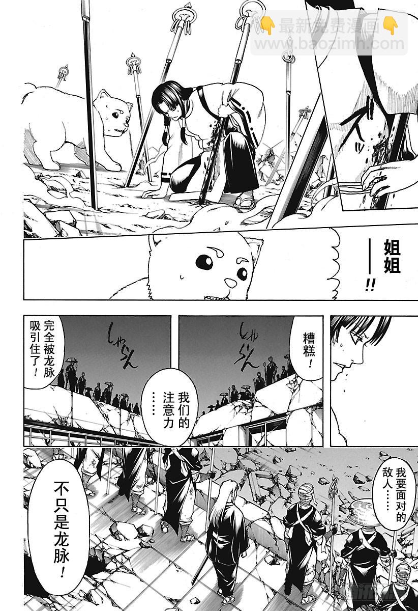 🍜银魂 第654话 宠物还是小型的比较好 第8页