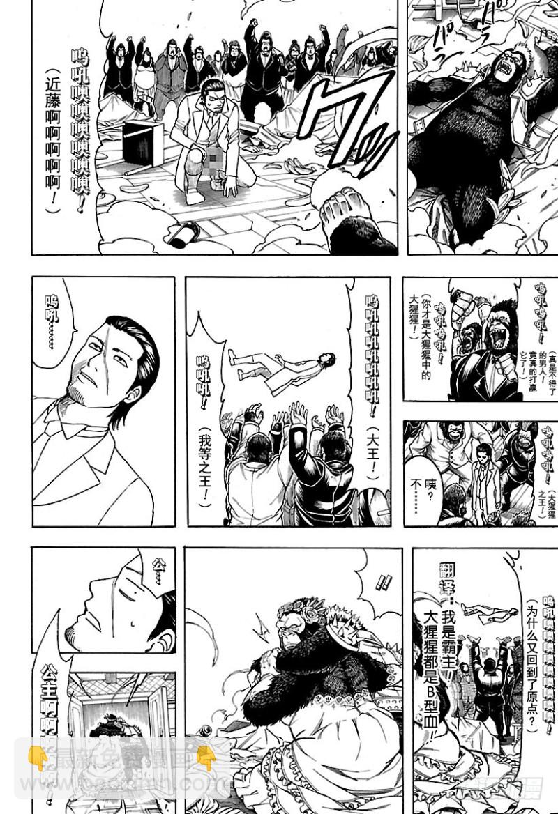 🍜银魂 第694话 大猩猩败在大猩猩手上 第11页