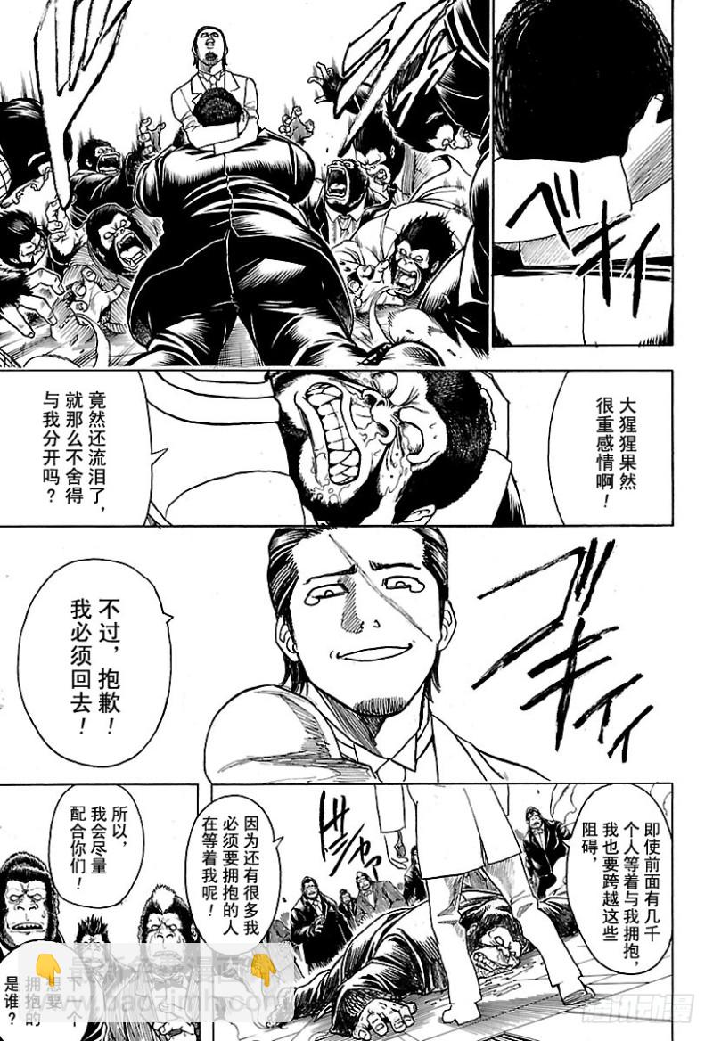 🍜银魂 第694话 大猩猩败在大猩猩手上 第20页
