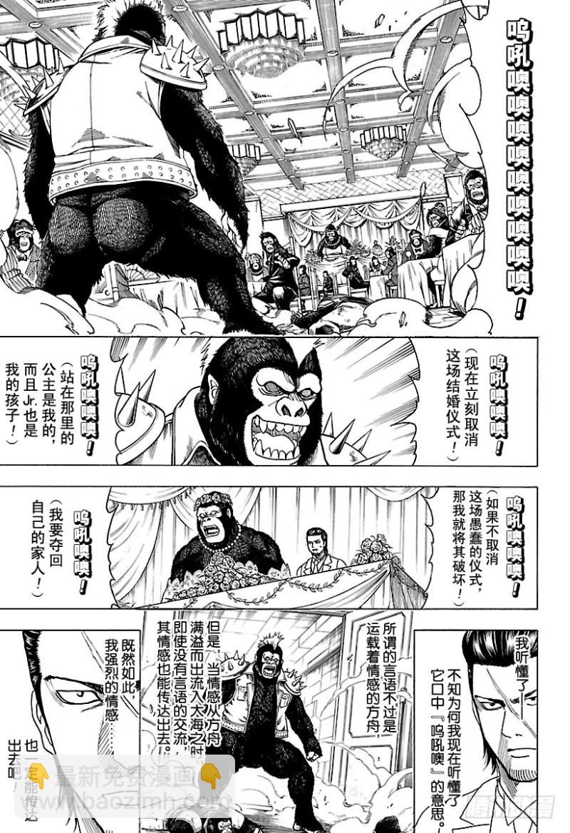 🍜银魂 第694话 大猩猩败在大猩猩手上 第4页