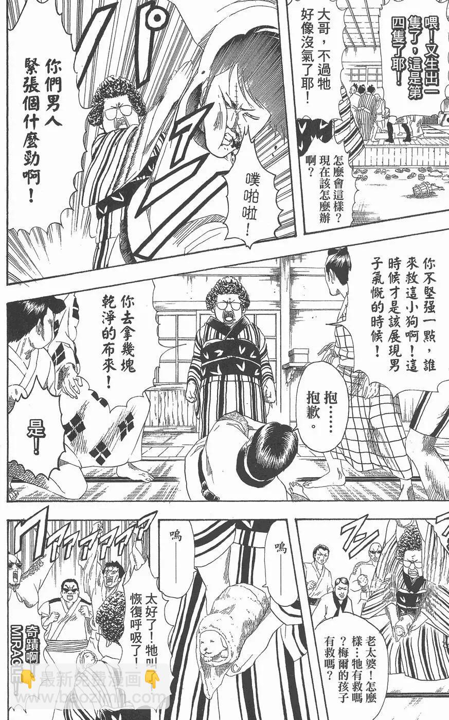 🍜银魂Gintama 第13卷 第48页