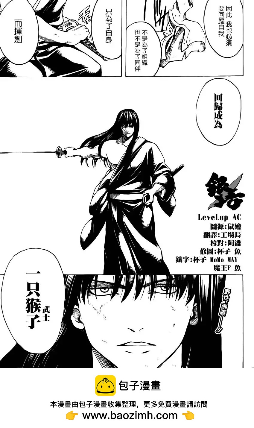 🍜银魂Gintama 第562回 狂乱贵公子 第17页