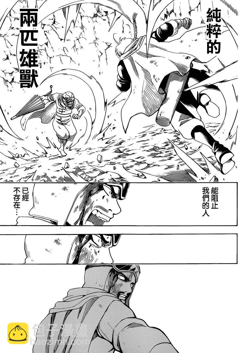 🍜银魂Gintama 第576回 两匹雄兽 第17页