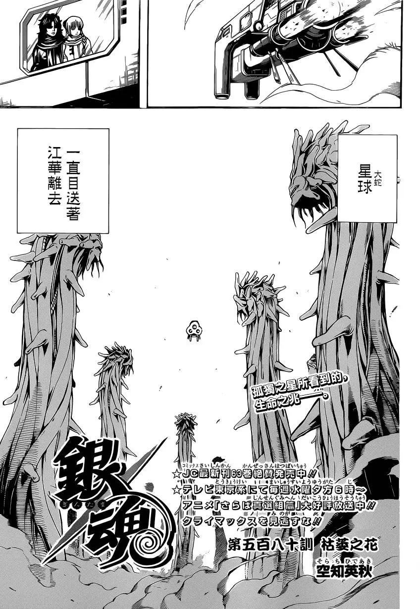 🍜银魂Gintama 第580回 枯萎之花 第5页