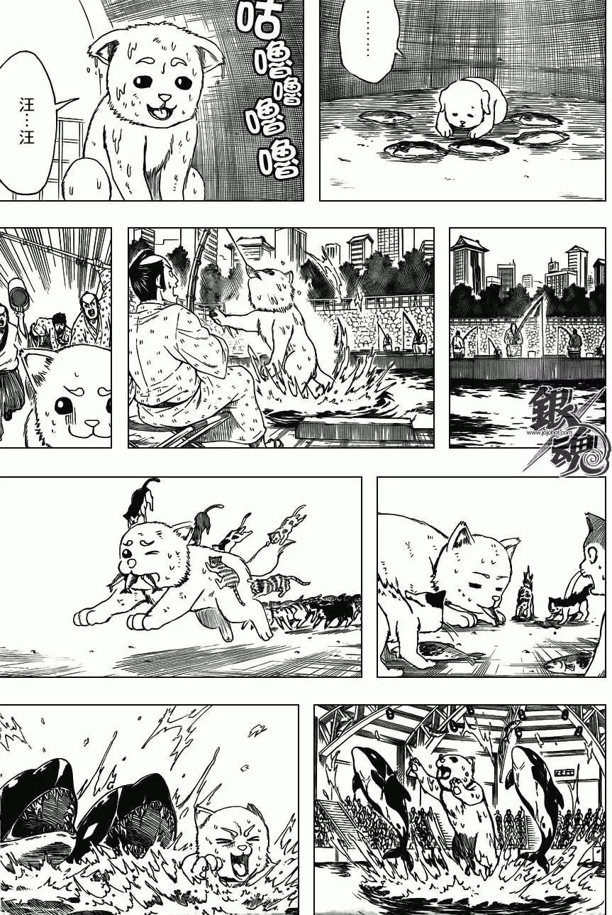 🍜银魂Gintama 第402回 第11页
